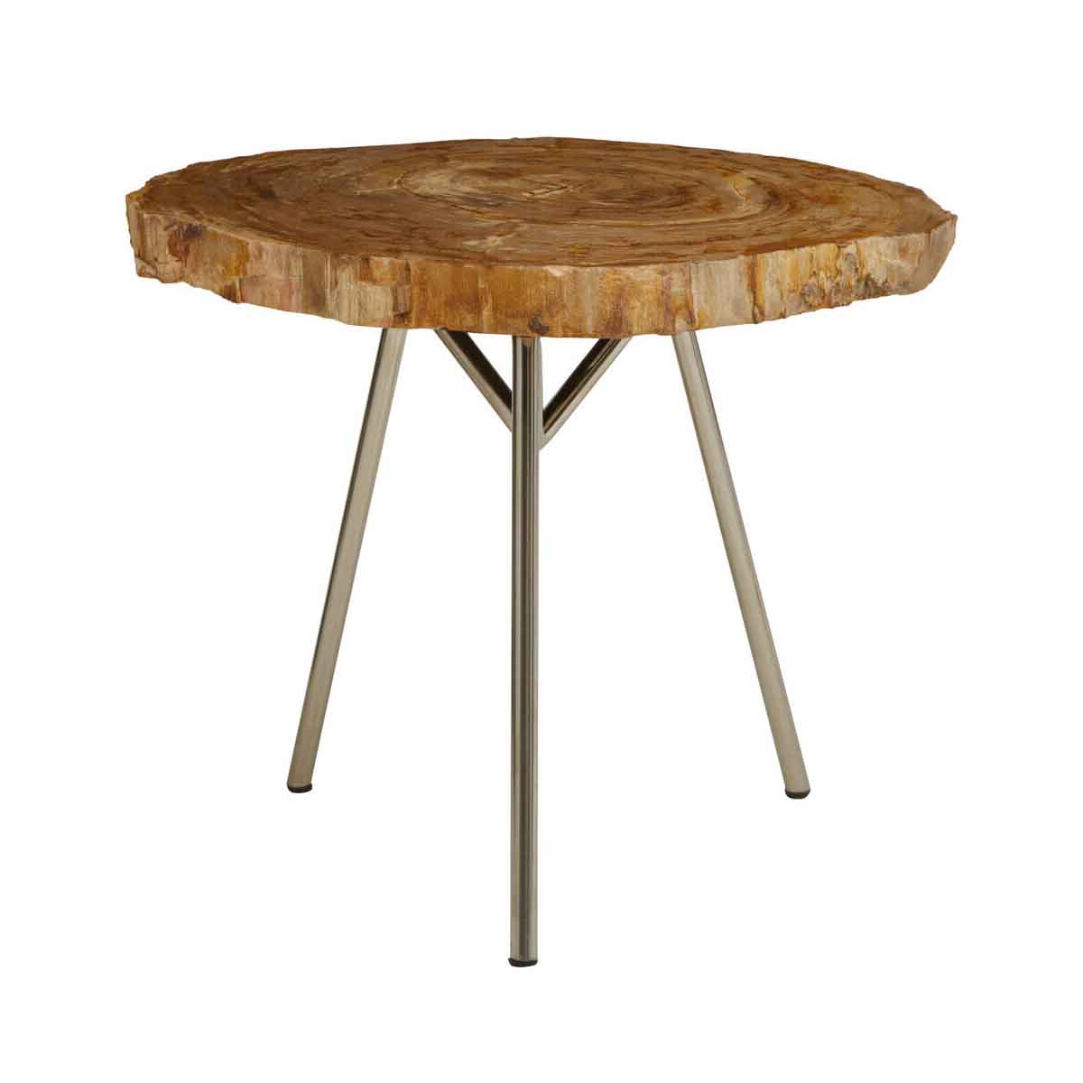 Relic Medium Petrified Wood Side Table