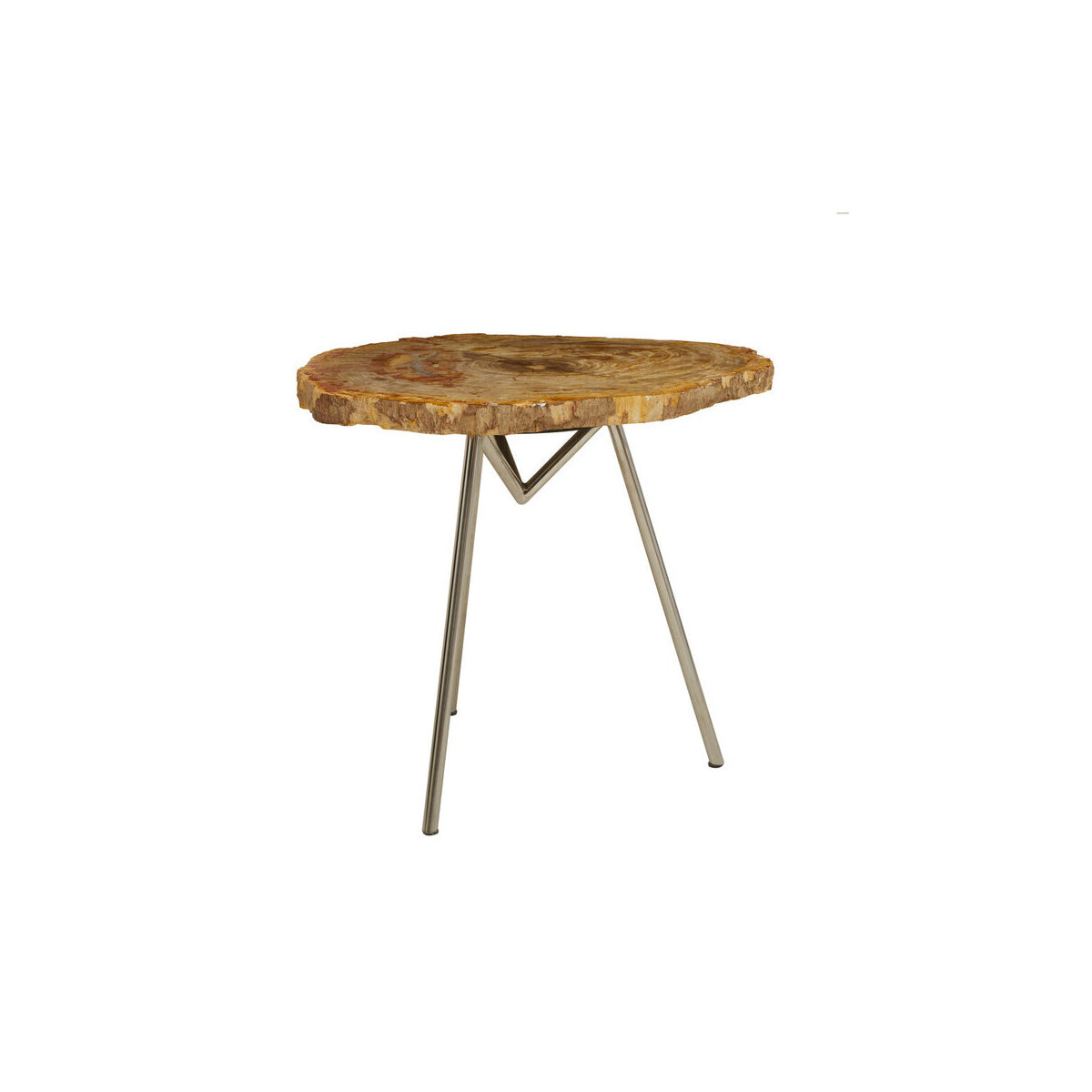 Relic Large Petrified Wood Side Table