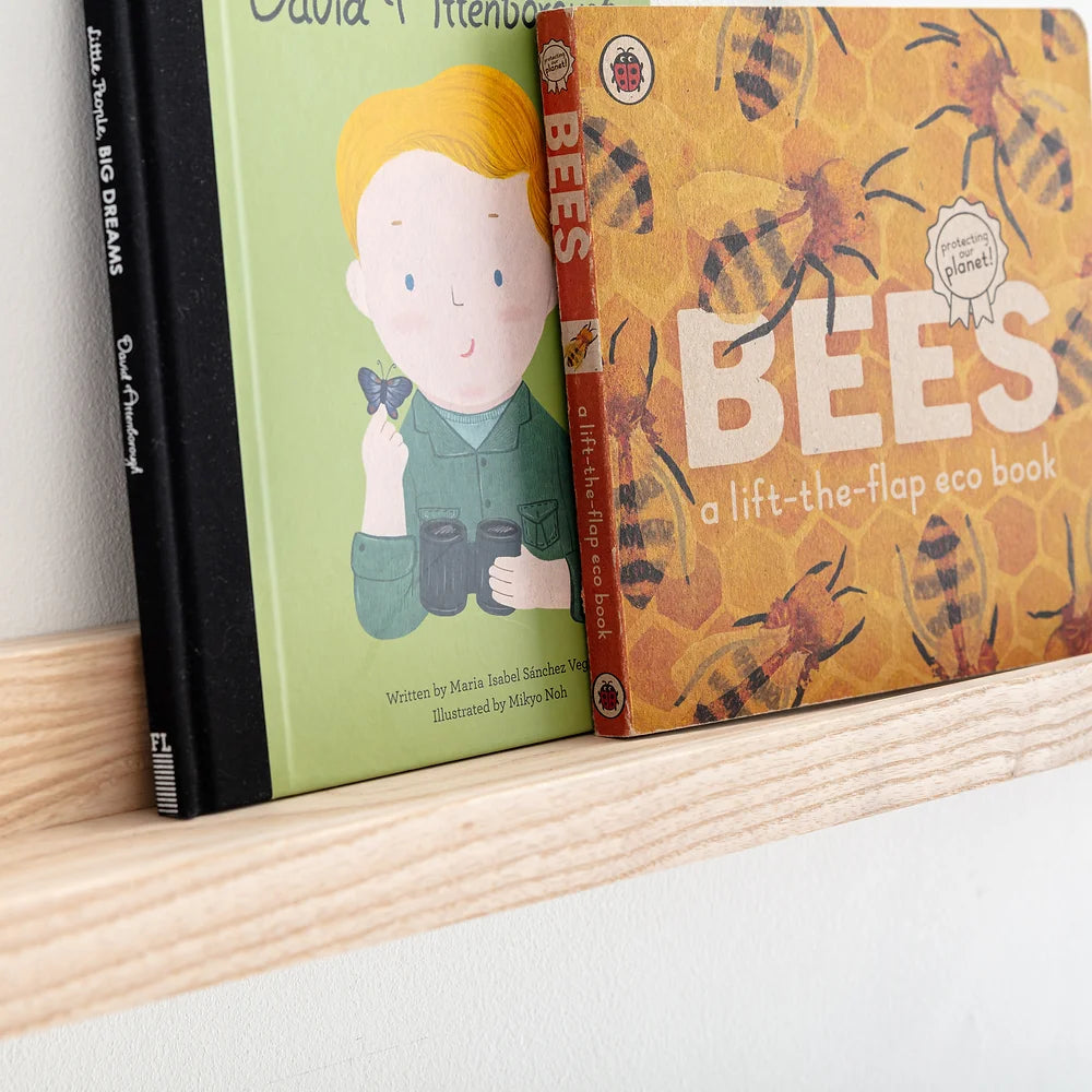 Autumn's Corner - Book and Picture Ledge