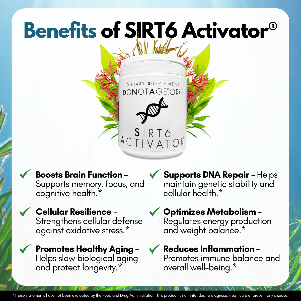 SIRT6 Activator