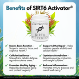 SIRT6 Activator