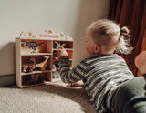 8 Dinosaurs Shelf Set