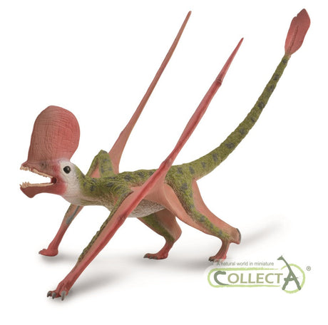 Caviramus Dinosaur With Movable Jaw