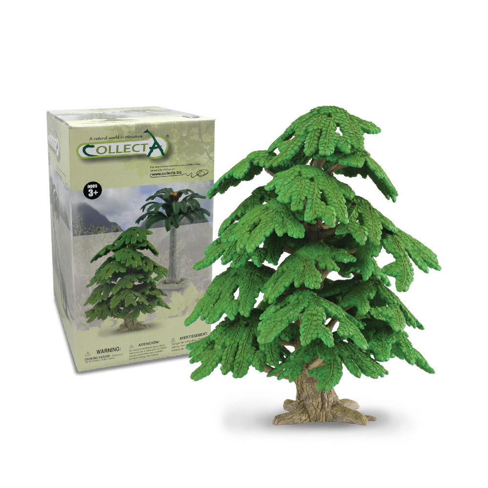 10" Ginkgo Biloba Tree