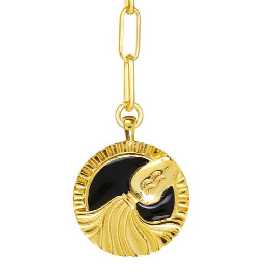 Zodiac Star Sign - Aquarius Necklace
