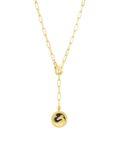 Zodiac Star Sign  - Capricorn Necklace