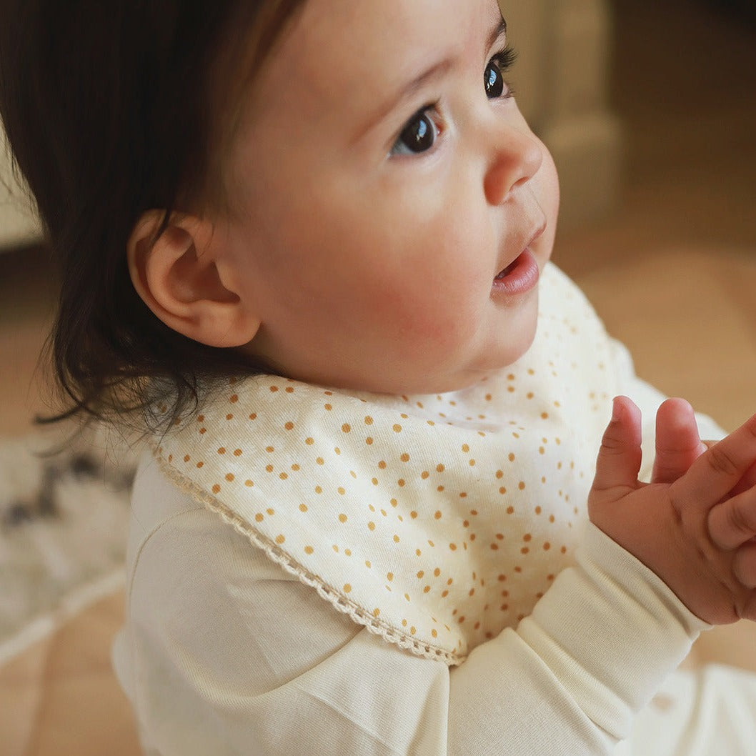 Baby Bibs Gift Set - Bunny / Daisy Meadow