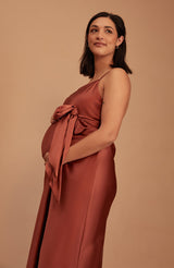 Brooklyn Dress in Terracotta Satin
