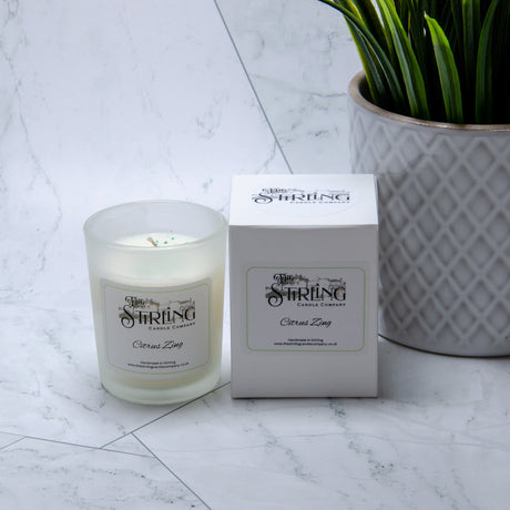Citrus Zing - Small Candle