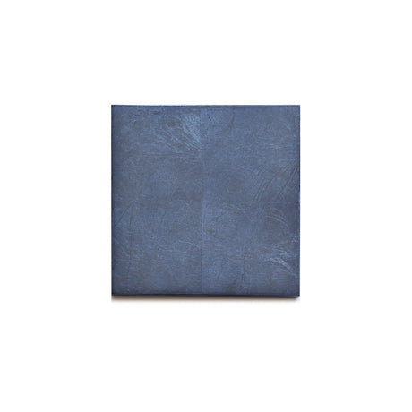 Coastbox Clear - Chic Matte Blue