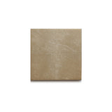 Silver Leaf Coaster - Chic Matte Champagne