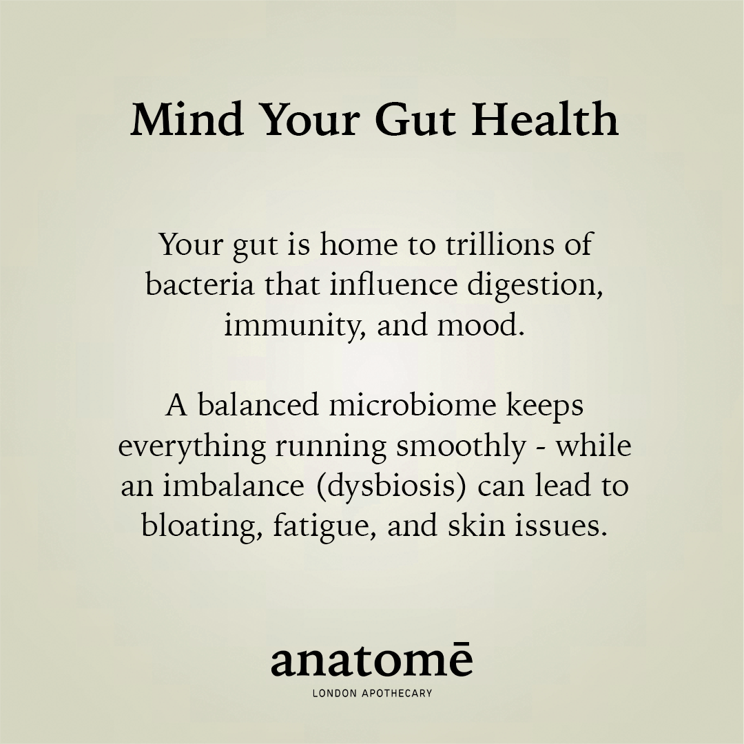Essential Daily Probiotic Capsules+ Gut Support