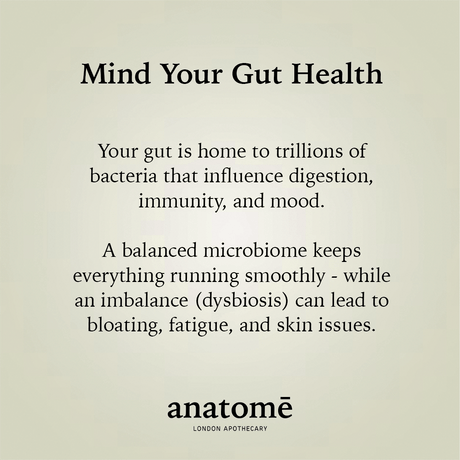 Essential Daily Probiotic Capsules+ Gut Support