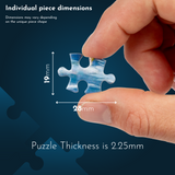 Checking the Line 1000 Piece Jigsaw Puzzle