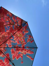 Parasol Kollektion Från HAPPYSWEEDS