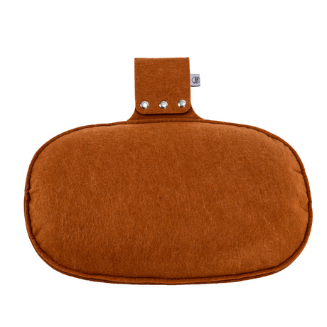 Felt Pillow