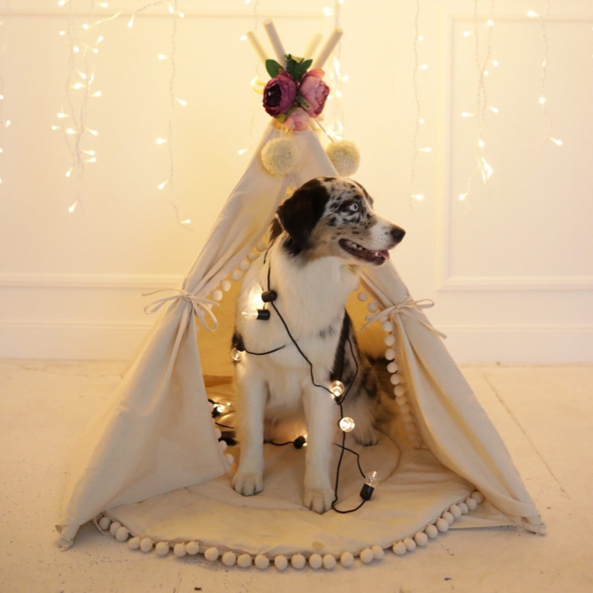 MINICAMP Large Dog Teepee Tent in Ecru With Pompoms – Size L