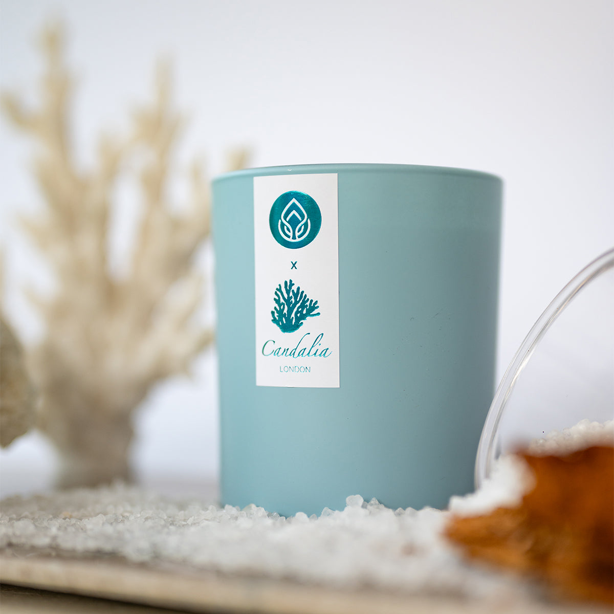 Ocean Suede Limited Edition Deluxe Candle