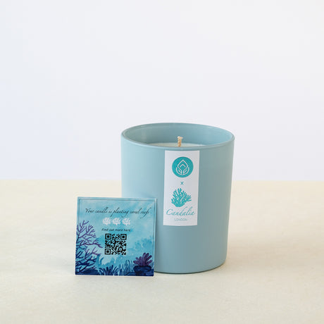 Ocean Suede Limited Edition Deluxe Candle