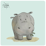The Crush Series Quiz Cards
