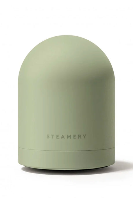 Pilo 2 Fabric Shaver – Sage