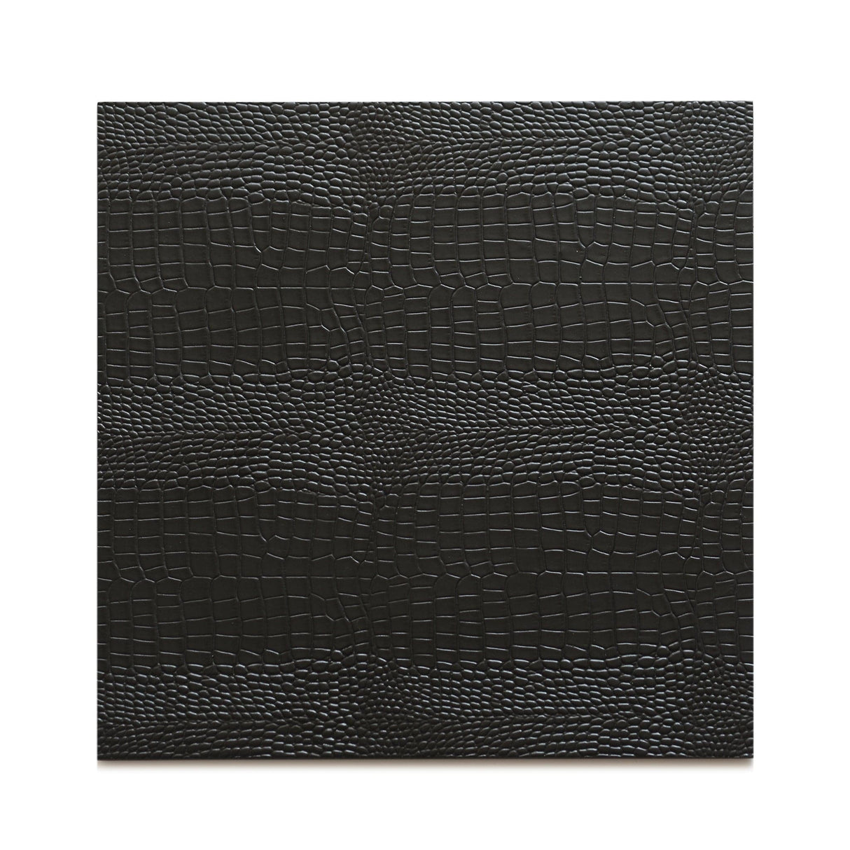 Placemat - Python Black
