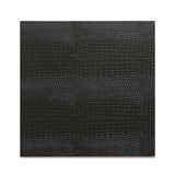 Placemat - Python Black