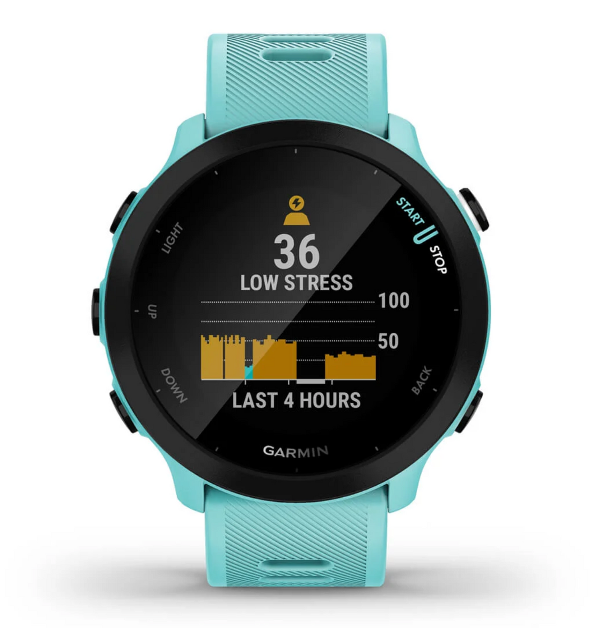 Forerunner 55, GPS, EU, Aqua B