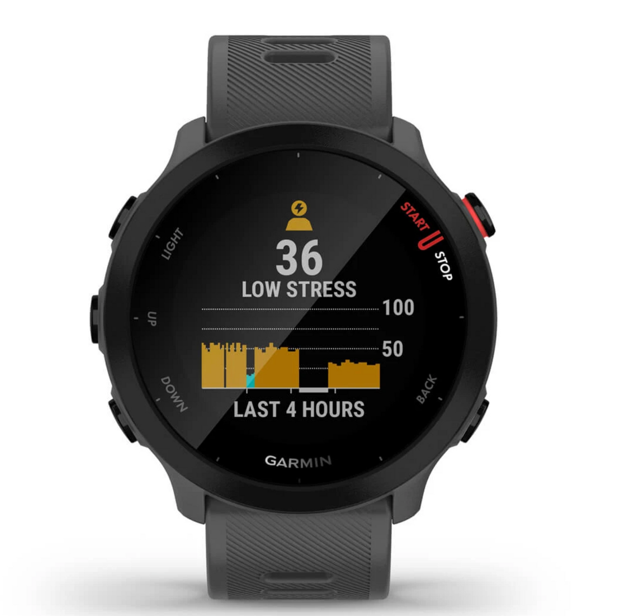 Forerunner 55, GPS, EU, Monterra Grey