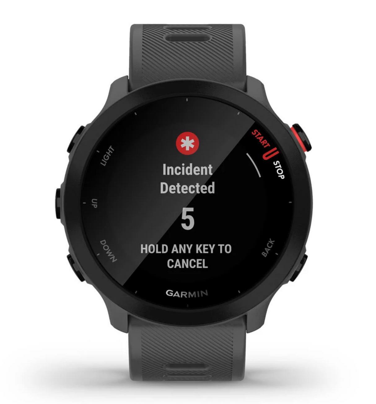Forerunner 55, GPS, EU, Monterra Grey
