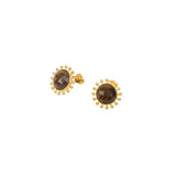 Tiger's Eye Stud Earrings "Stellar Elegance"