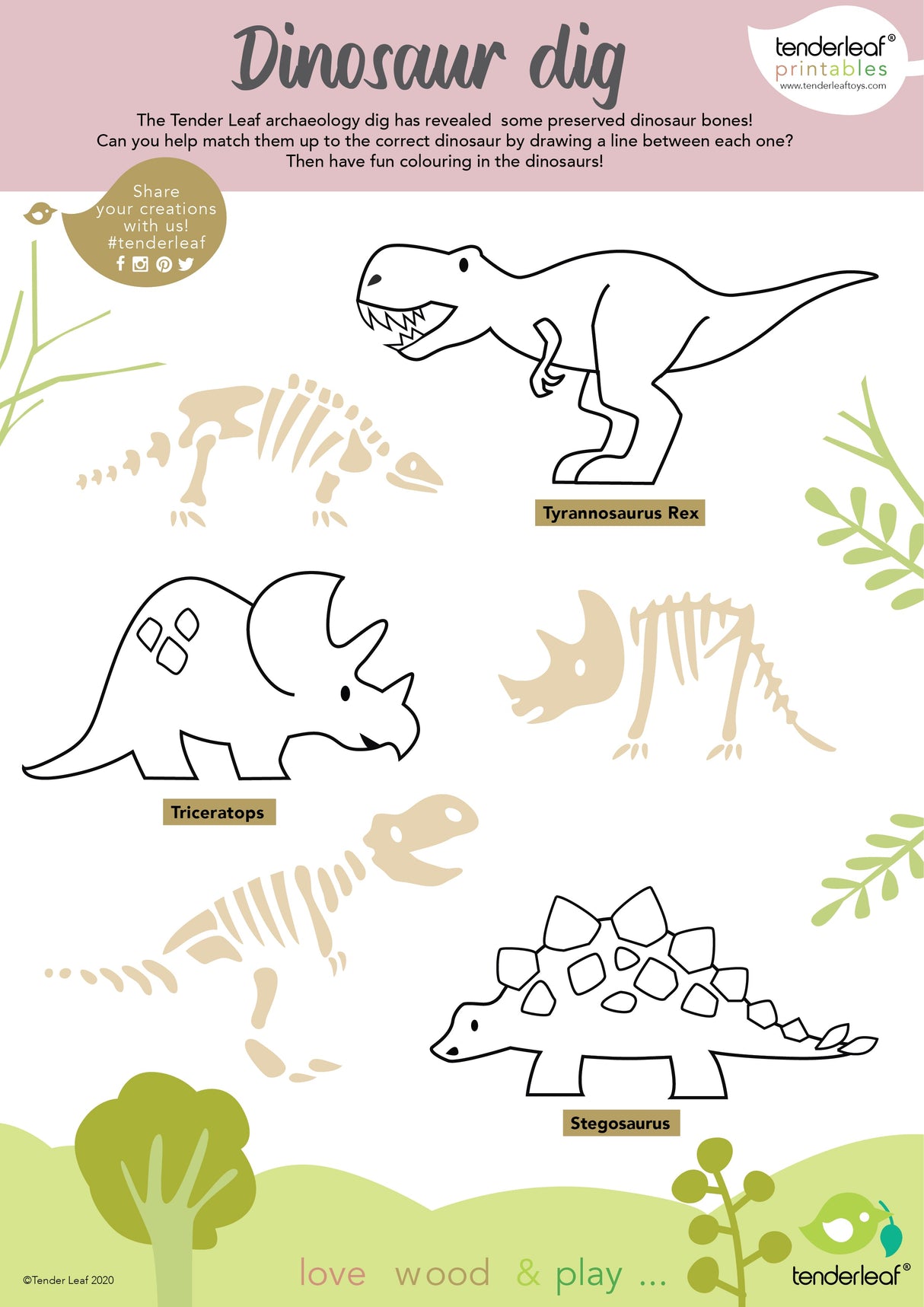 8 Dinosaurs Shelf Set