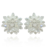 Aurora Borealis and Crystal Faceted Glass Bead Clip on Earring