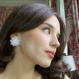Aurora Borealis and Crystal Faceted Glass Bead Clip on Earring