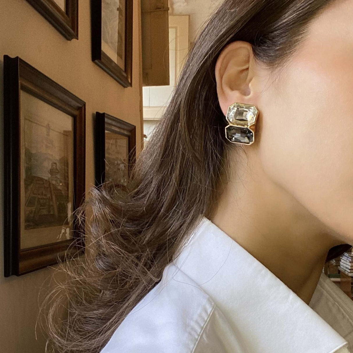 Crystal and Black Diamond  Double Stone Clip Earrings