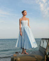 Cinderella Dress - Blue
