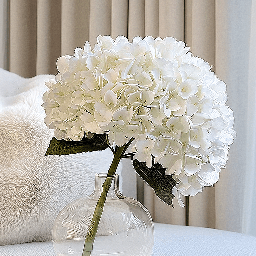 Cream Giant Pom Pom Hydrangea Single Stem Flower