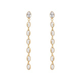 Oval Crystal Framed Long Drops