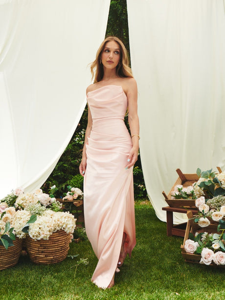 Doutzen Dress - Blush