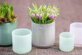 CYLINDER C1 Candle Votive -  MENTHOL