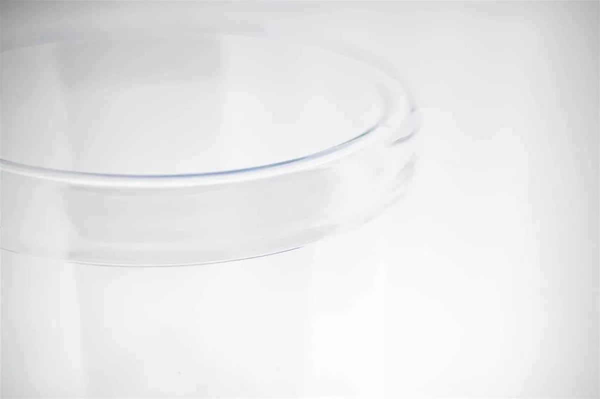 AMAZON HURRICANE Vase - CLEAR by DutZ