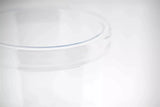 AMAZON HURRICANE Vase - CLEAR by DutZ