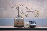 Orchid POT MARCO - SMOKE by DutZ