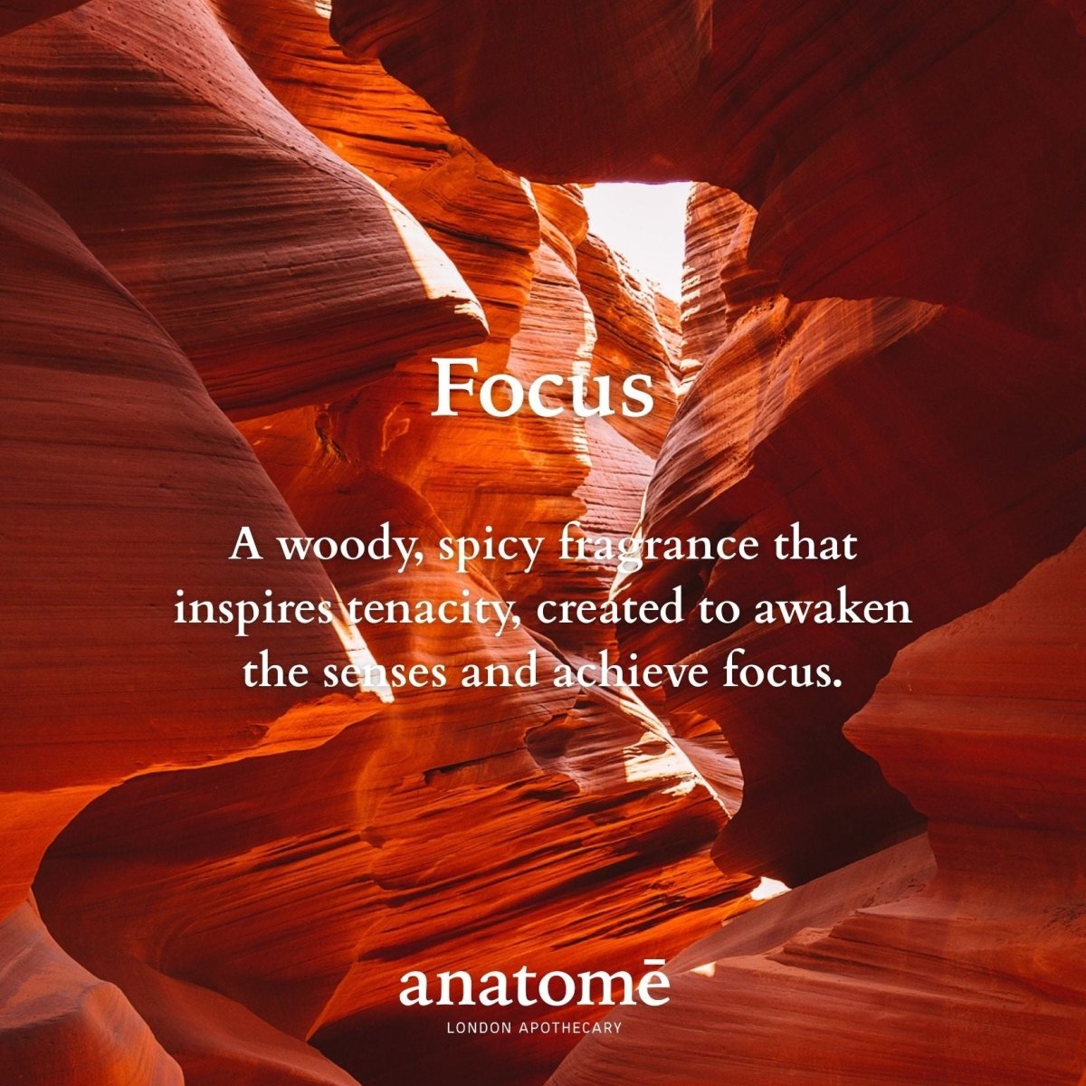 Focus Functional Parfum Travel 10ml