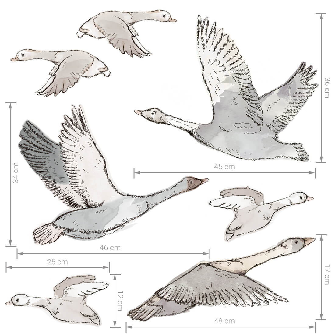 Wall Stickers | Geese