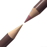 Lip Perfecting Plumping Lip Liner