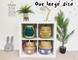 Natural Lioness Basket - Large