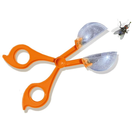 Insect Explorer