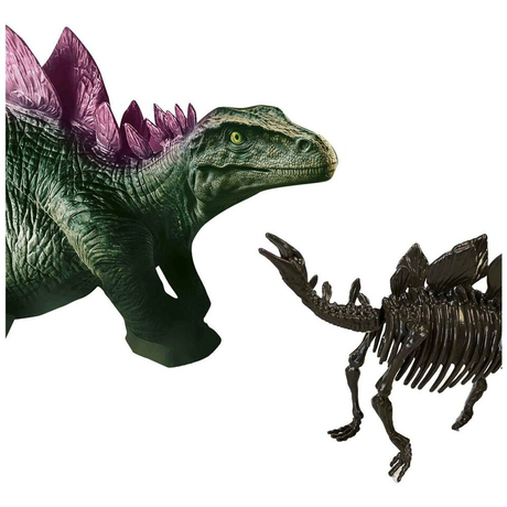 Dino and Skeleton Excavation 2 in 1 - Stegosaurus