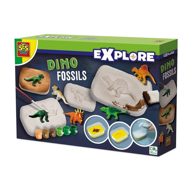 Dino Fossils